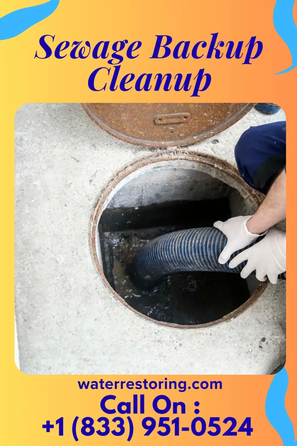 Sewage Backup Cleanup in Florence, TX